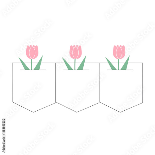 Three potted tulips in white planters with pink flowers