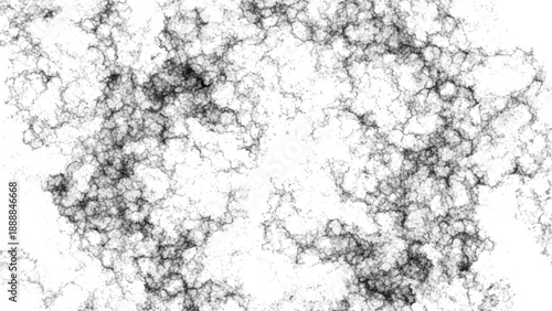 Abstract black and white background with a textured, mottled appearance, resembling a porous and irregular organic surface or rough fabric