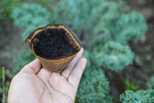 Foto hand hold old coffee powder filter for  use as a fertilize to plants