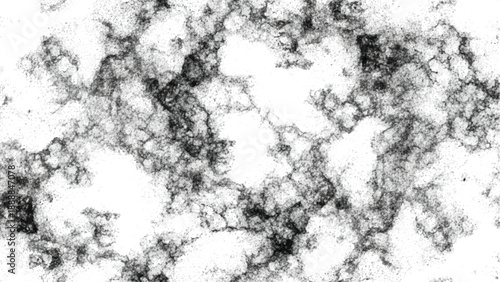 Abstract dark gray and white background image with randomly generated pattern creating a chaotic and organic textured surface resembling intricate natural formations