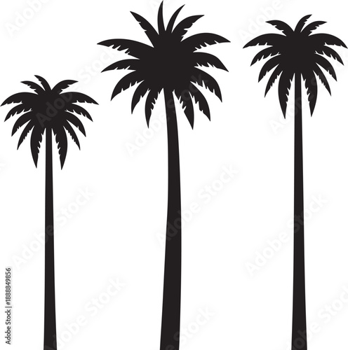  set of palm trees, palm, tree, tropical, vector, silhouette, beach, nature, leaf, illustration, summer, coconut, palm tree, island, plant, design, travel, pattern, sea, sun, palms, branch, palmtree