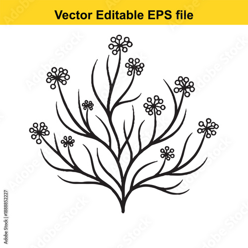  Black floral branch with small flowers on white background