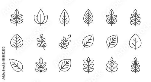 vector set of wheat ears