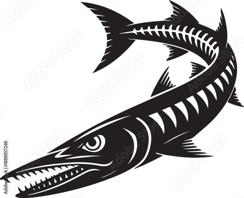 Aggressive Barracuda Illustration Fierce Predator of the Sea