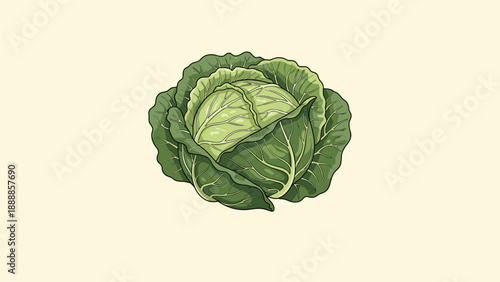 Detailed flat illustration of a fresh green cabbage head with textured leaves isolated against a solid pale yellow background.