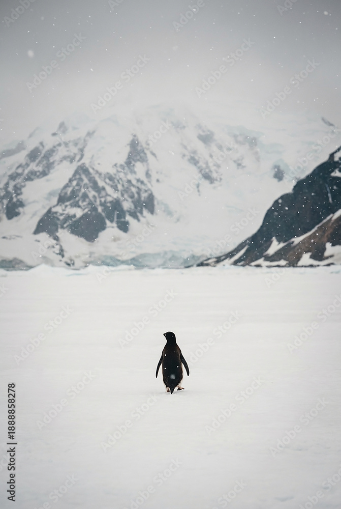 Fototapeta premium Penguin walking alone across pale icy landscape toward rugged mountains expressing quiet courage and persistence