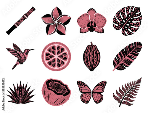 Stippled Woodcut Tropical Flora and Fauna Element Kit for Exotic Botanical Branding and Stationery Design