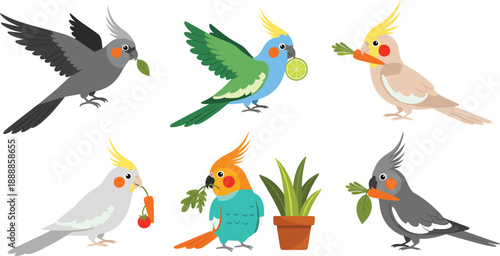 Cute cartoon cockatiel birds set. Funny parrot characters holding food and plants. Colorful flat vector illustration for kids design, stickers, apps and education.