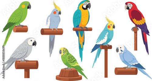 Cute cartoon parrot birds set. Colorful macaw, cockatiel and budgie characters on perches. Flat vector illustration for kids design, stickers, apps and education.