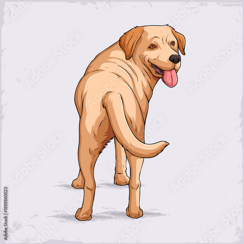 Happy golden Labrador dog standing and looking back over shoulder, tongue out and tail curved, friendly cartoon pet illustration