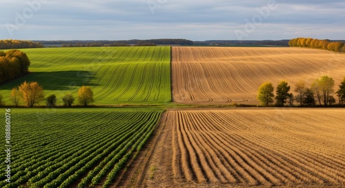 Divided landscape of vibrant green crops and golden harvested fields, with trees and autumn colors under a clear sky.