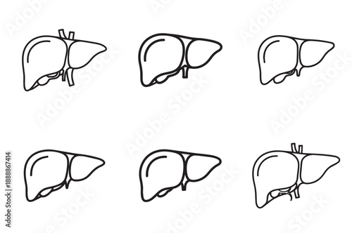 Liver Line Art Icons, Editable Stroke Outline Vector Illustration Set