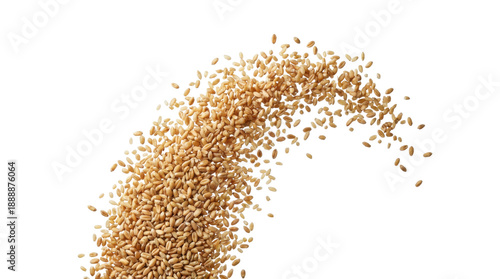 A cascade of small brown particles or sesame grains flowing downwards in a dynamic motion ready for compositing on white and transparent background