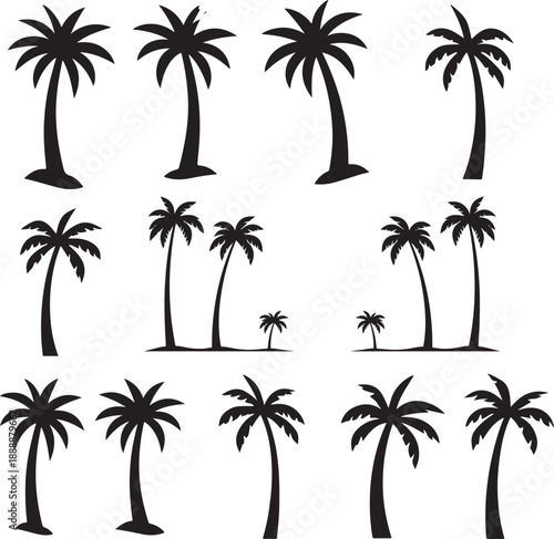  set of palm trees, palm, tree, tropical, vector, silhouette, beach, nature, leaf, illustration, summer, coconut, palm tree, island, plant, design, travel, pattern, sea, sun, palms, branch, palmtree