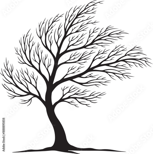 Dynamic Bare Tree Silhouette with Wind Swept Branches Isolated on White