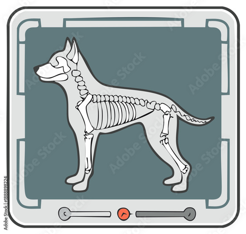 Cartoon Dog X-Ray Skeleton Anatomy Diagnostic Screen Animal Health Examination