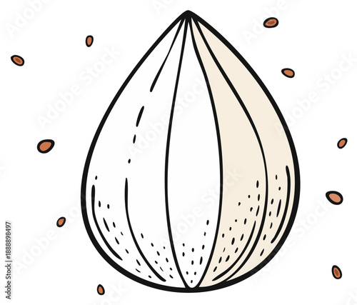 Fresh organic garlic clove kitchen ingredient hand drawn illustration food preparation seasoning