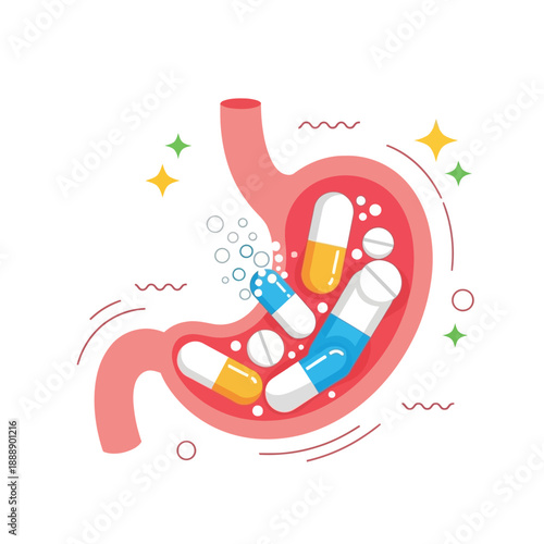 Stomach with pills and capsules, illustration of digestive system and medication intake.