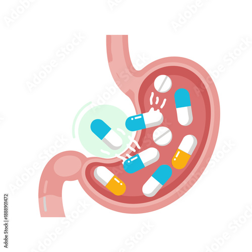 Stomach with capsules and pills, concept of medicine and digestion health
