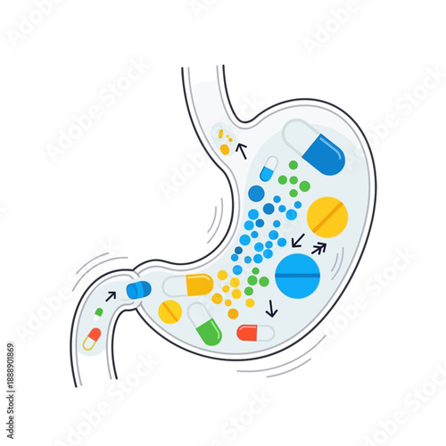 Stomach with Pills and Capsules: Digestion and Medication Concept