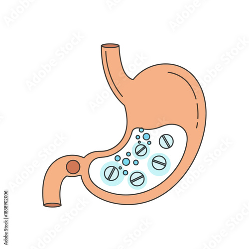 Stomach with pills and bubbles, illustration of digestive system and medication