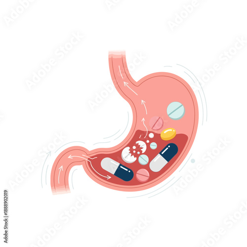 Stomach with medication, pills and capsules, digestive system illustration