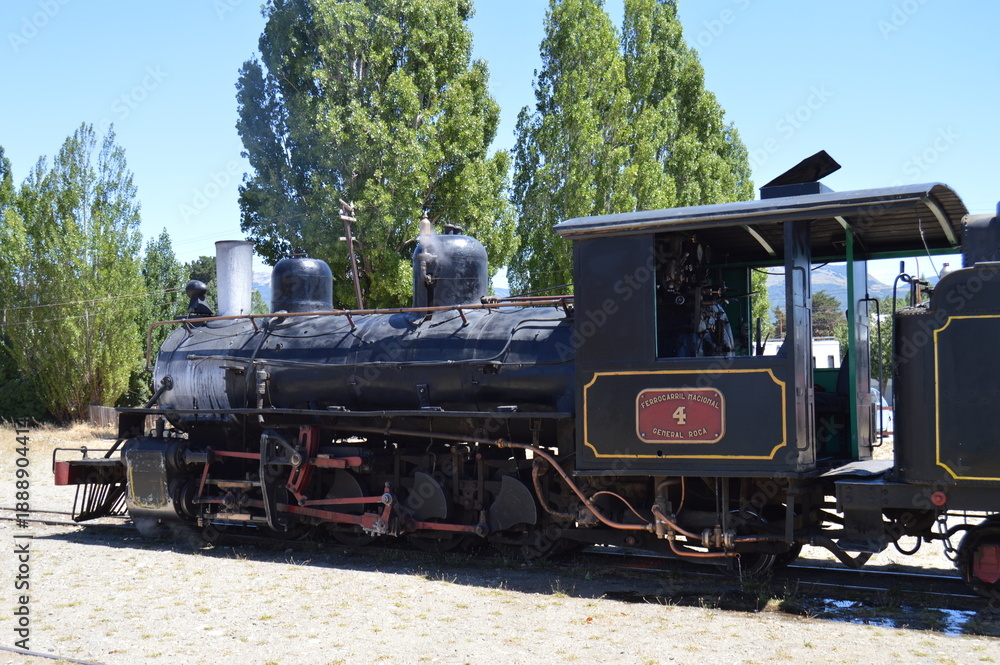 Obraz premium Maquina del Tren la Trochita