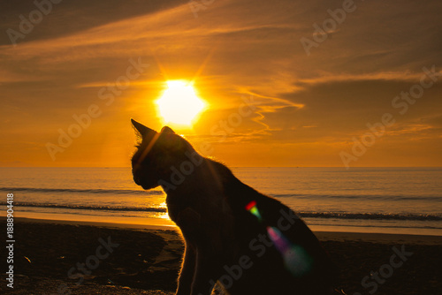 Sticker cats enjoying the sunrise on the beach