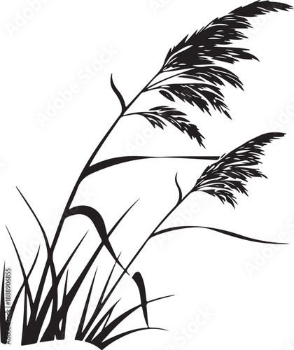 Reeds Silhouette Vector Graphic - Tall Grass and Plumes Isolated on White