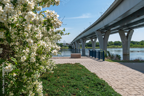 Foto View of riverbank with bridge, jasmine bush against blue sky