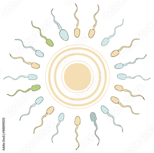 Fertilization concept with multiple sperm cells surrounding an ovum, reproductive process illustration