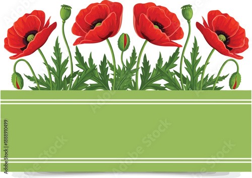 Vibrant Red Poppy Flower Illustration for Spring Decor