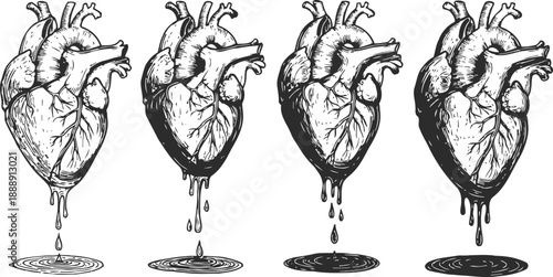 Detailed anatomical heart illustrations dripping liquid with reflective shadows on white background