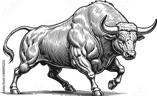 Strong muscular bull charging forward with lowered head and curved horns, black and white drawing