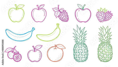 Colorful Hand Drawn Fruits Collection Vector Illustration.