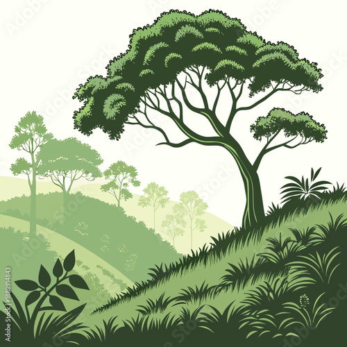 Clean vector illustration of a tropical forest hill landscape, vibrant colors and simple shapes for a fresh, natural feel.