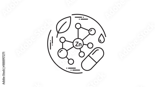 A circular line drawing depicts zinc supplementation showcasing elements like leaves water and capsules high quality professional