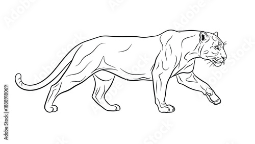 Outline drawing of a walking feline, resembling a panther, with a sleek body and long tail. The image conveys a sense of grace and stealth.