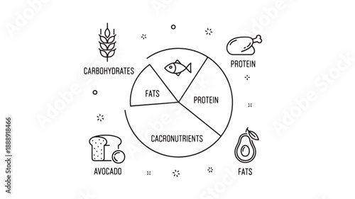 A circular diagram illustrates a balanced diet with food groups representing macronutrients and micronutrients high quality professional