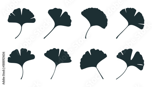 Black Ginkgo Leaf Silhouette Set with Japanese Biloba Tree Foliage and Nature Elements