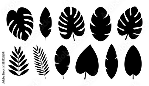 Black Tropical Leaf Silhouette Set with Monstera Palm and Exotic Botanical Foliage