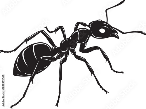 Detailed Black Silhouette of a Worker Ant Isolated Illustration