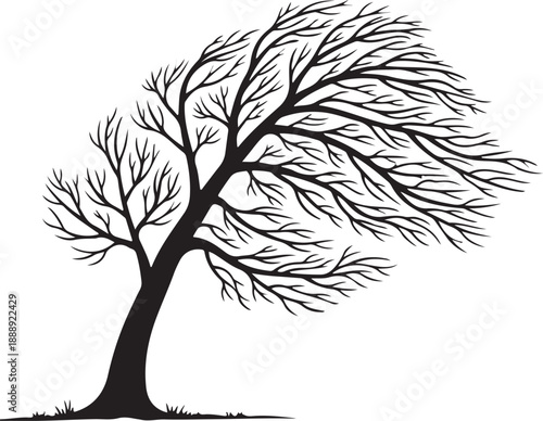 Wind-swept bare tree silhouette black vector illustration on white background
