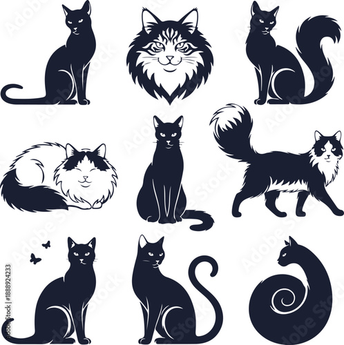A collection of nine stylized black and white illustrations depicts various feline poses and breeds showcasing different cat appearances high-quality professional detailed modern elegant
