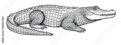 Black and white drawing of a crocodile with detailed scales and texture. The crocodile is shown in profile, lying down, with its mouth slightly open.