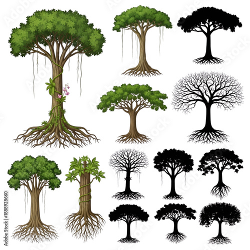 Mega Nature Vector Bundle: Ancient Forest Trees with Flowering Orchids, Detailed Bare Winter Branches, Complex Root Systems, and Professional Botanical Silhouettes for Scenic Landscape Art