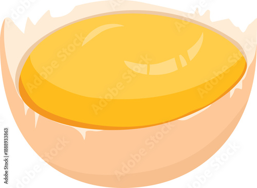vector illustration egg yolk