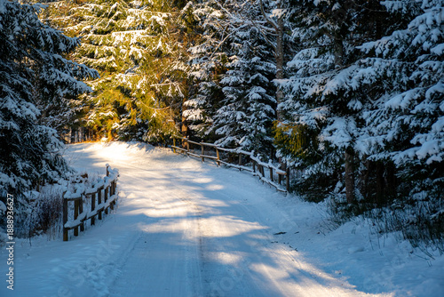 Fotografía beautiful sunny winter day from the park, first snow on the trees, snowy trails