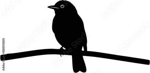 Black Bird Silhouette on Branch.