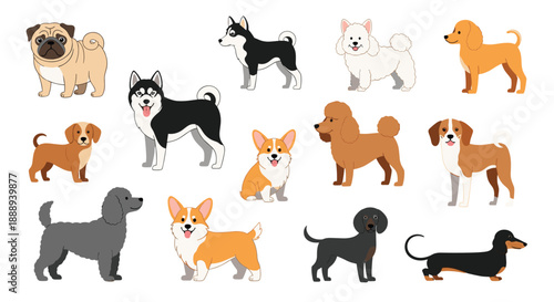 A colorful collection of diverse dog breeds in a flat, cartoon style, perfect for animal-themed design projects and pet-related content.